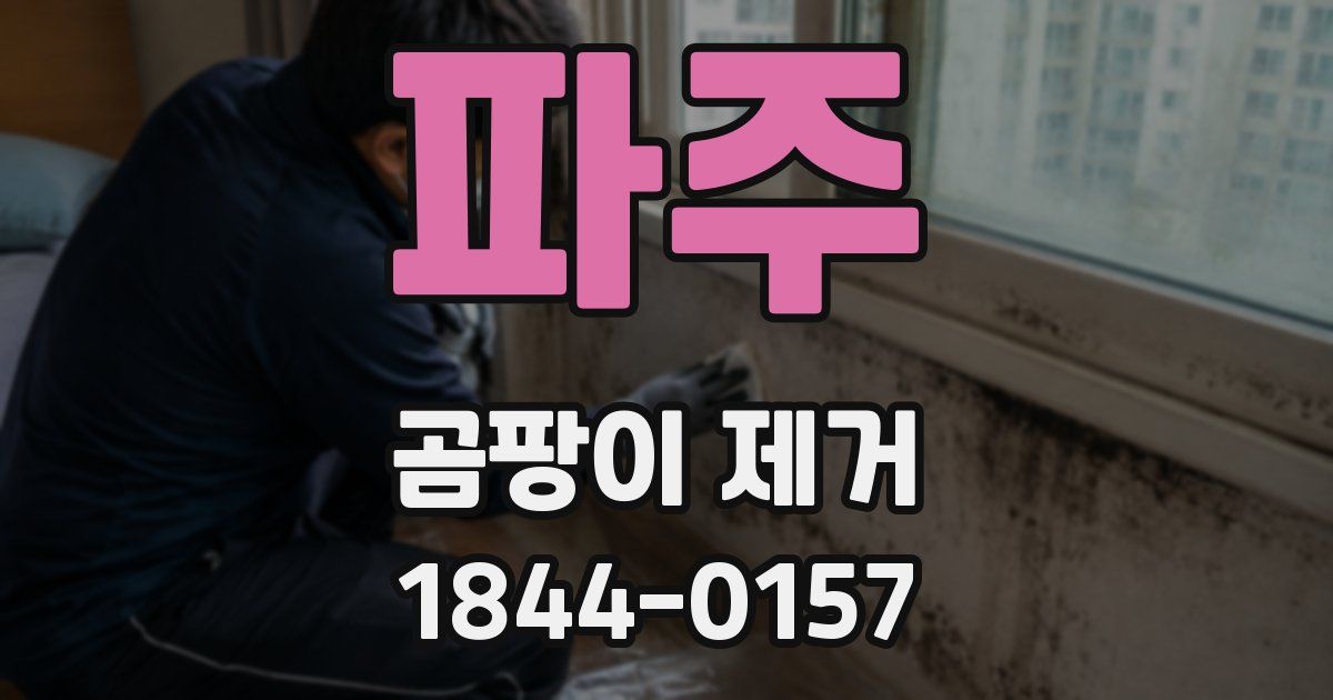 파주 곰팡이 제거