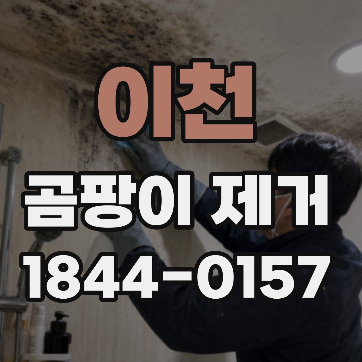 이천 곰팡이 제거 업체 선택 시 비교할 기준
