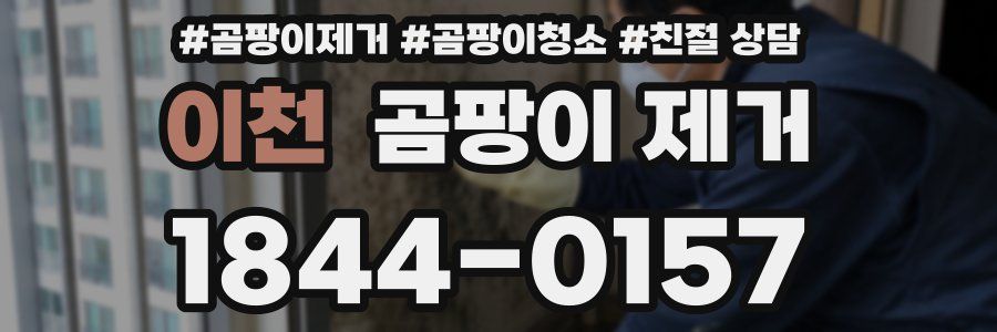 이천 곰팡이 제거