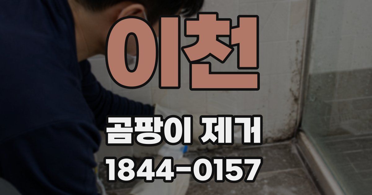 이천 곰팡이 제거