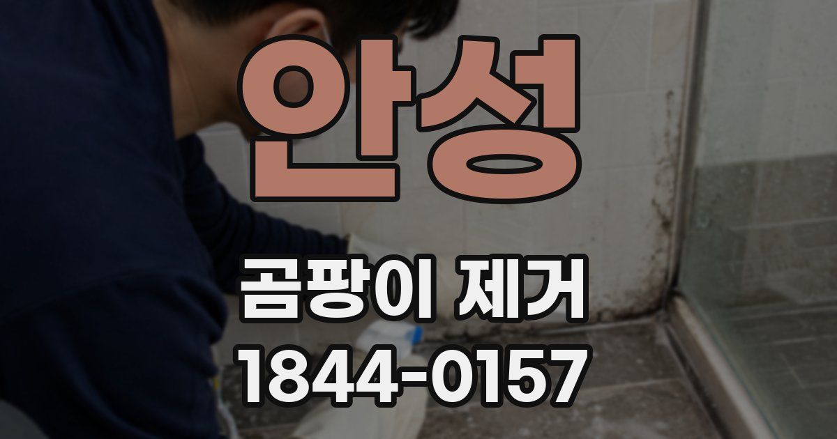안성 곰팡이 제거