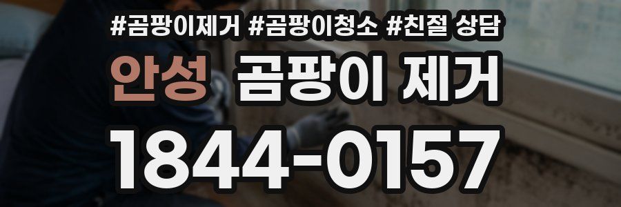 안성 곰팡이 제거