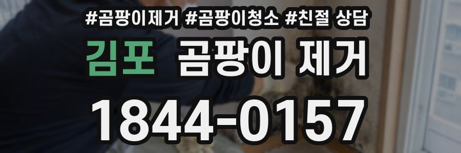 김포 곰팡이 제거