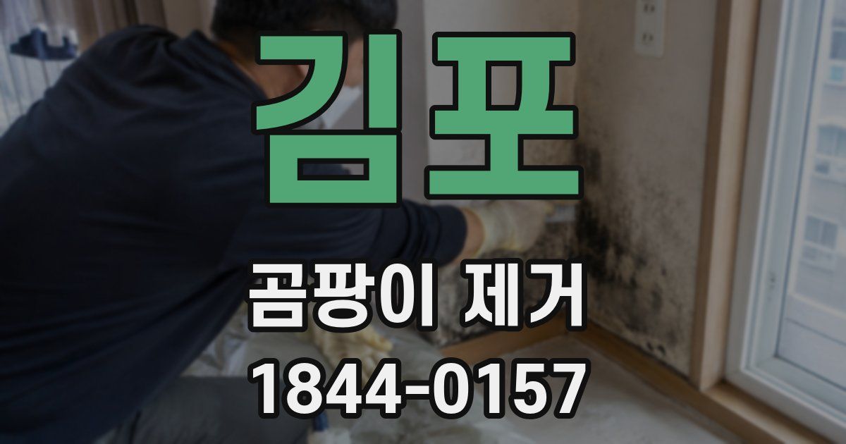 김포 곰팡이 제거