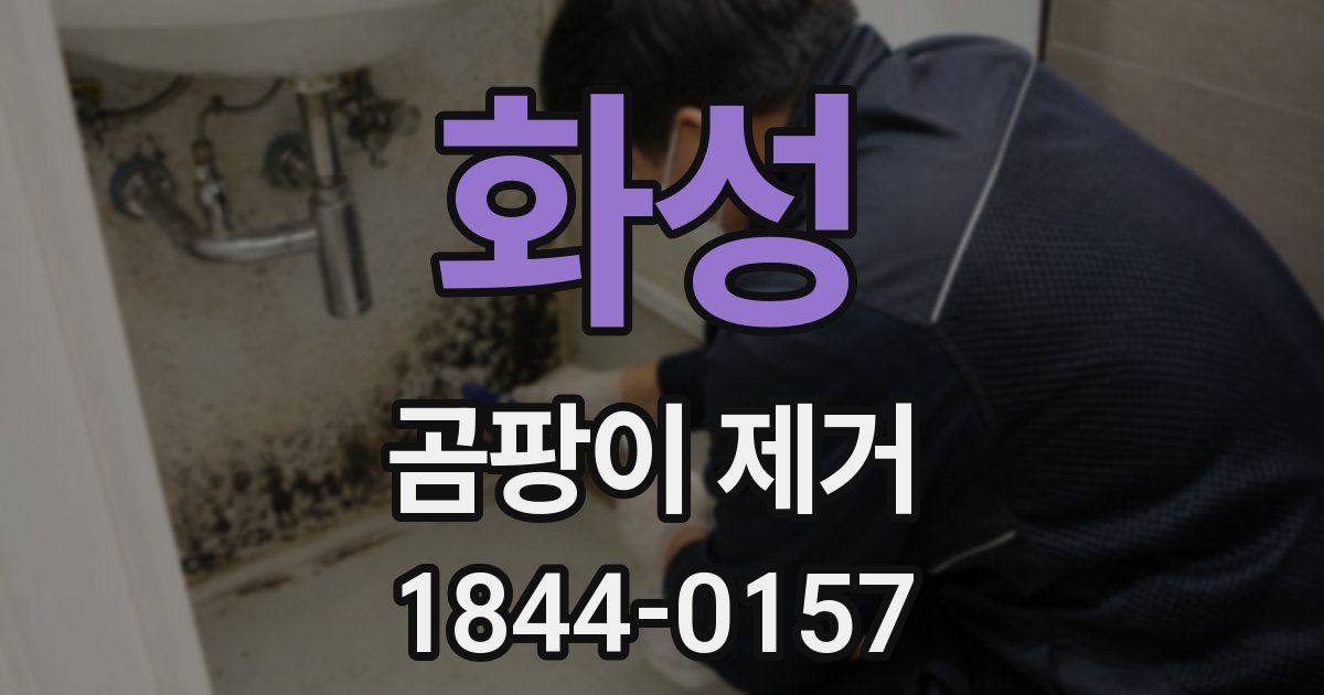 화성 곰팡이 제거