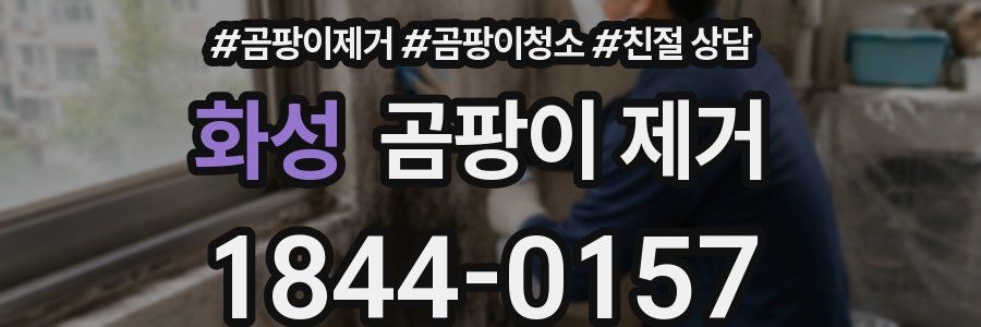 화성 곰팡이 제거