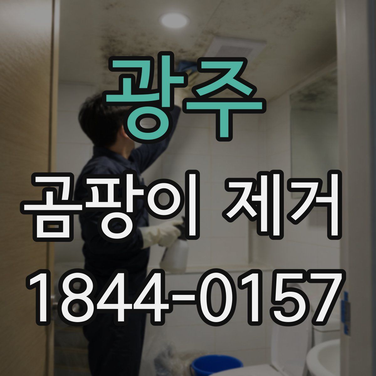 광주 곰팡이 제거