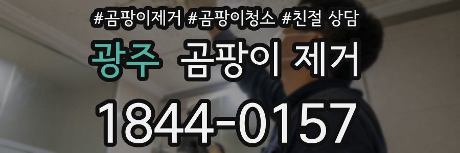 광주 곰팡이 제거