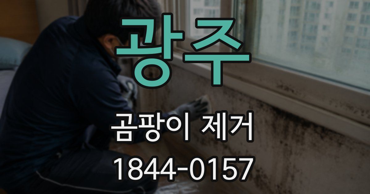 광주 곰팡이 제거