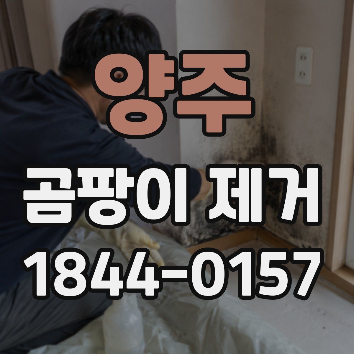 양주 곰팡이 제거 후 마감재 선택 시 고려할 점