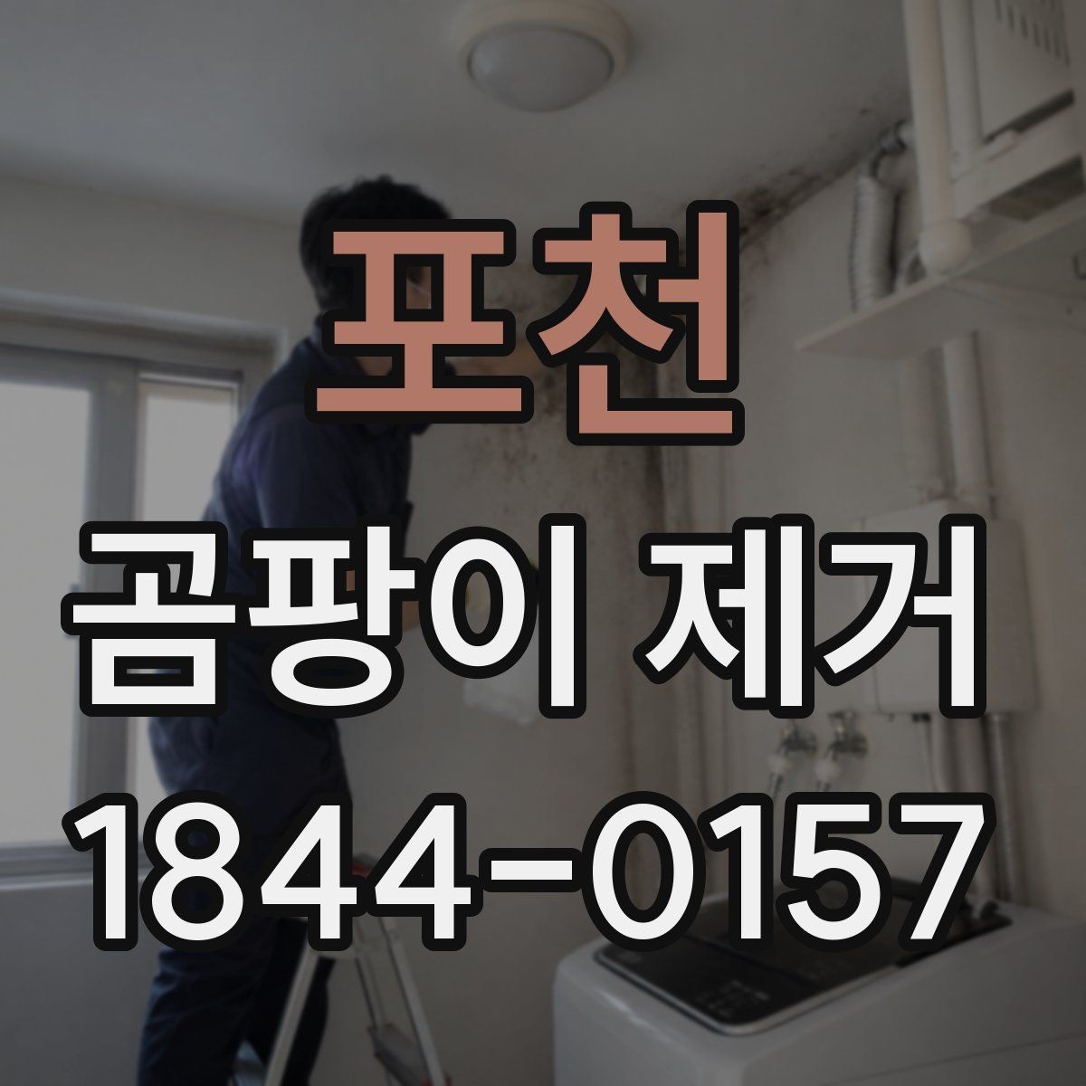 포천 곰팡이 제거 전후로 챙겨야 할 관리법