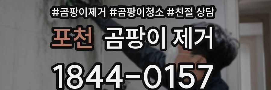 포천 곰팡이 제거