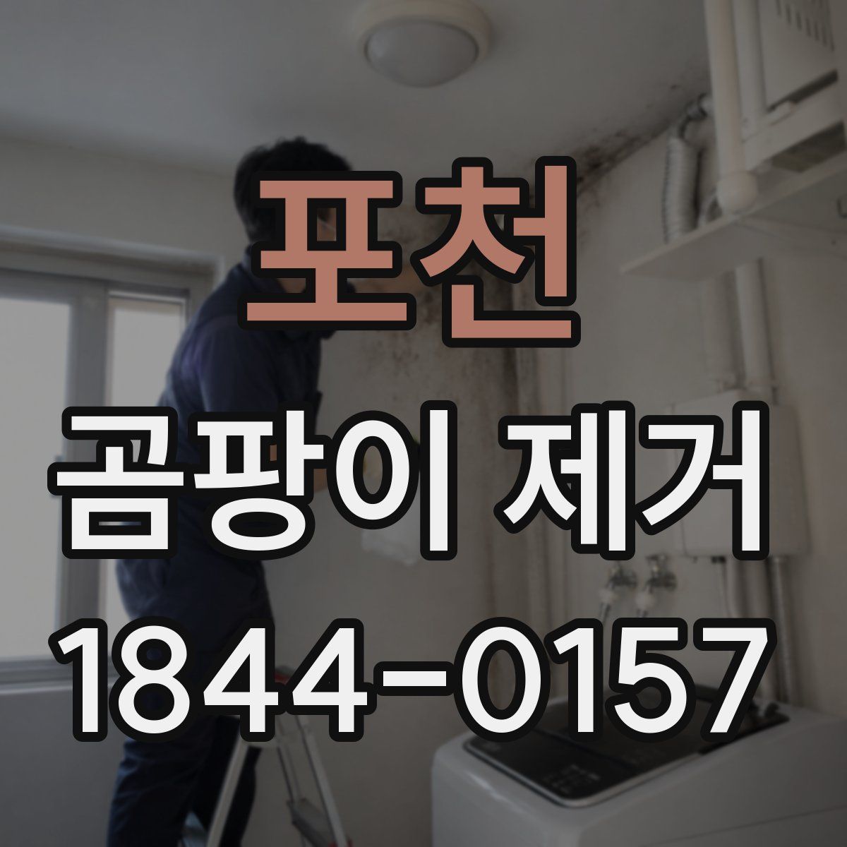 포천 곰팡이 제거