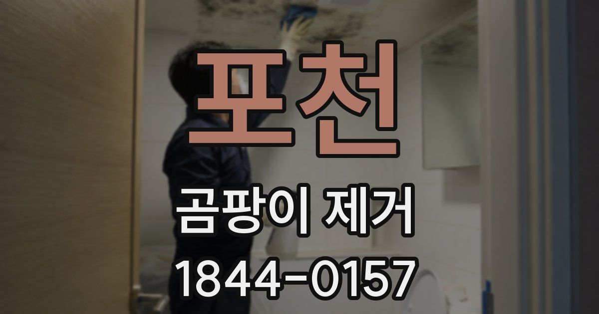 포천 곰팡이 제거