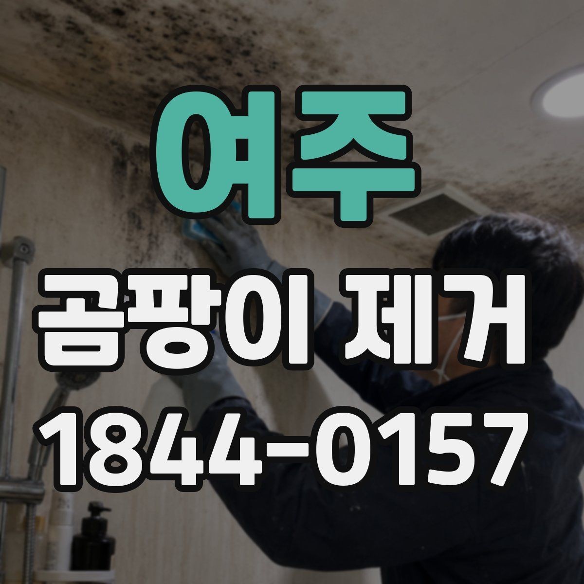 여주 곰팡이 제거 대상별 예상 작업 범위 살피기