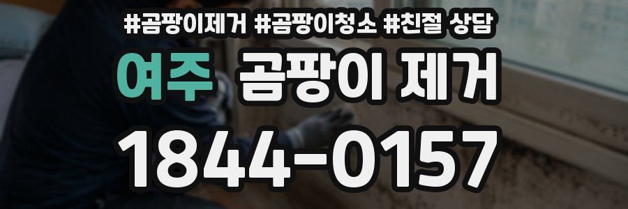 여주 곰팡이 제거