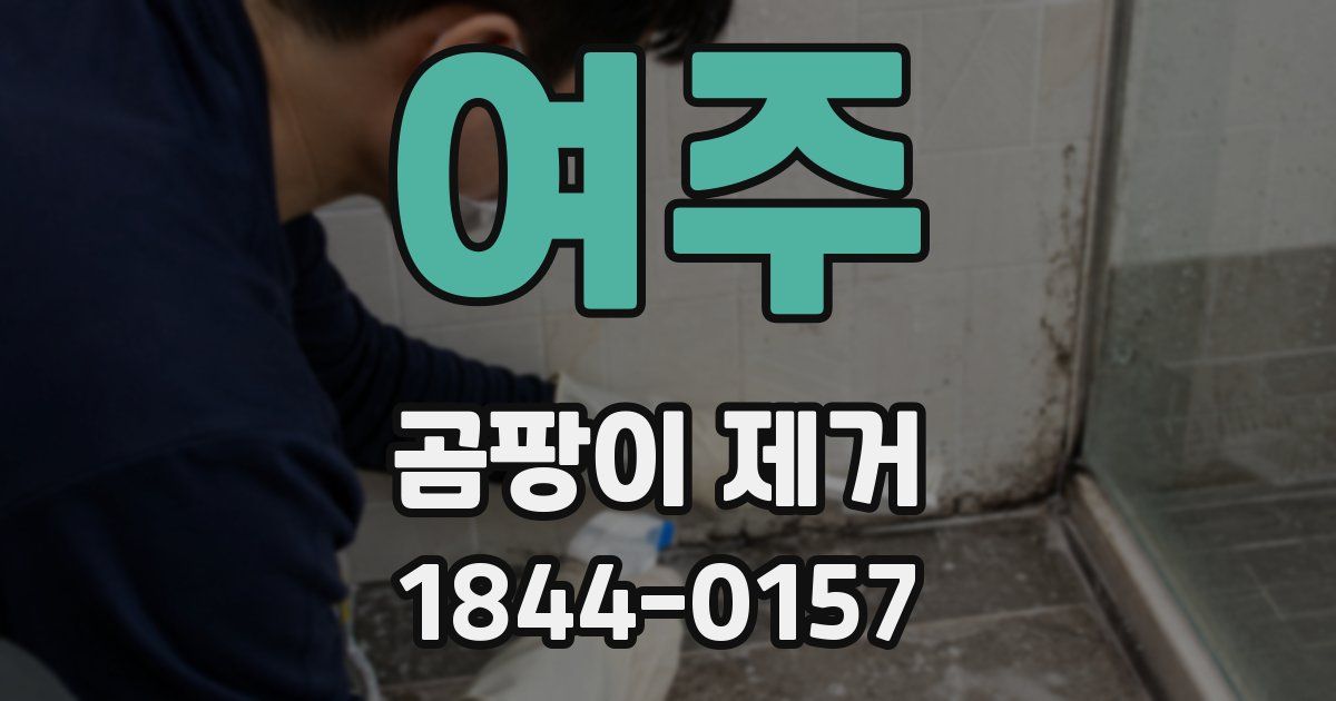 여주 곰팡이 제거