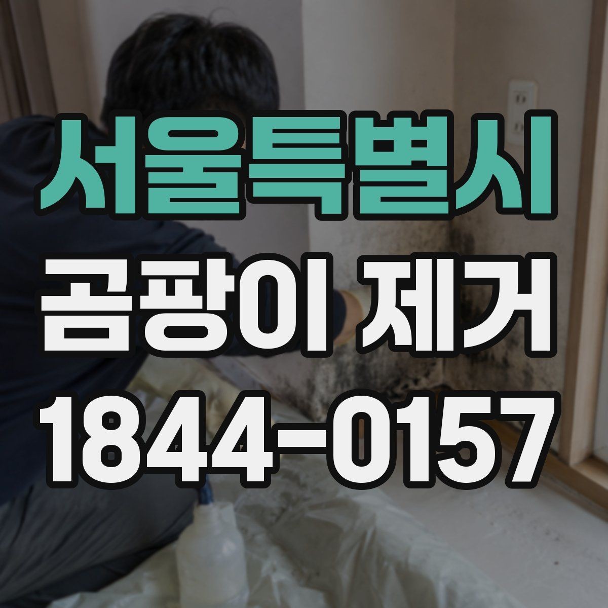 서울특별시 곰팡이 제거 업체 선택 전 비교할 기준