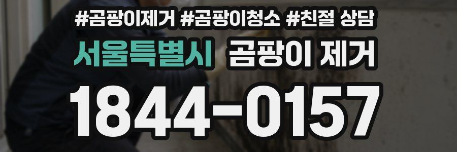 서울특별시 곰팡이 제거