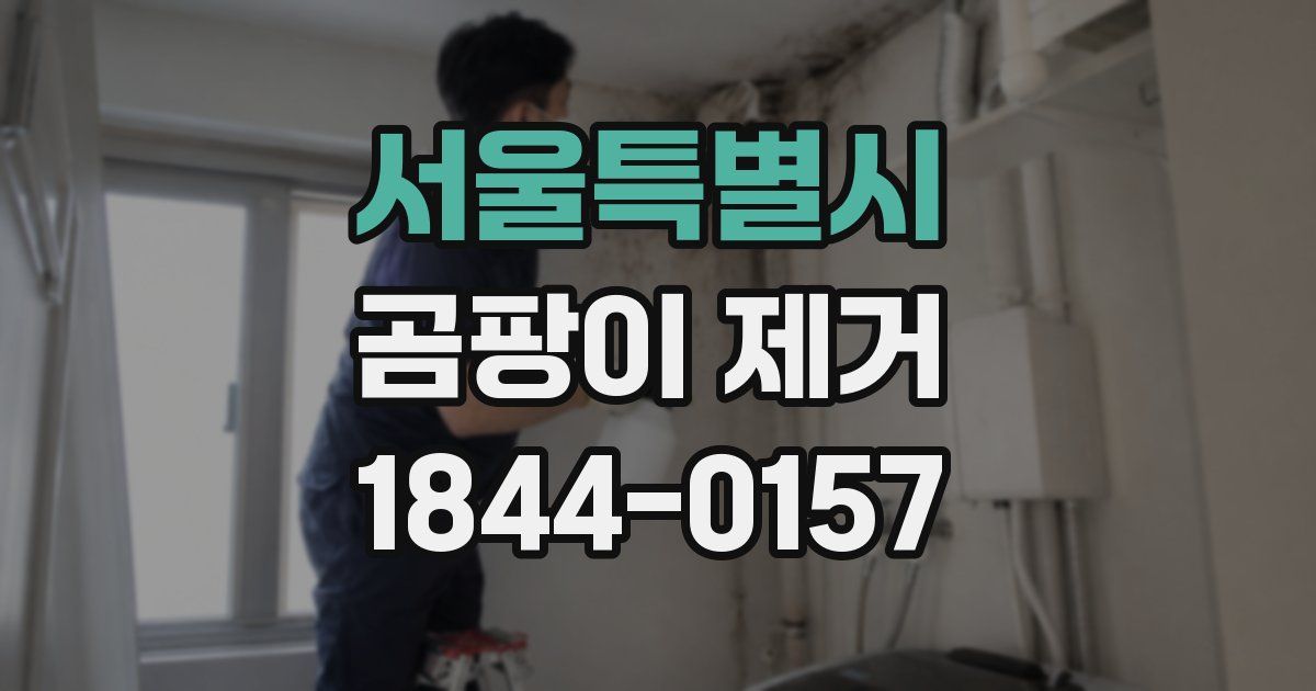 서울특별시 곰팡이 제거