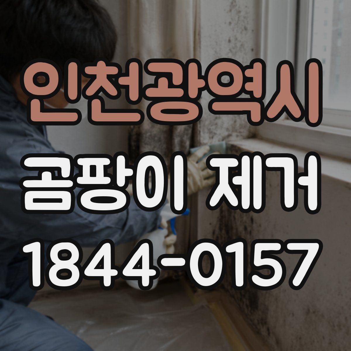 인천광역시 곰팡이 제거 후 마감재 선택 시 고려할 점