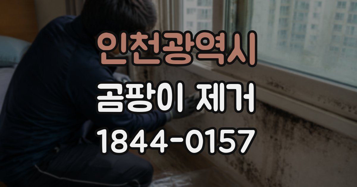 인천광역시 곰팡이 제거