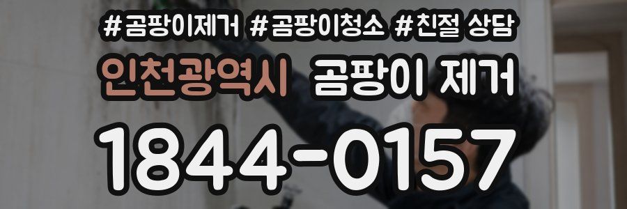 인천광역시 곰팡이 제거