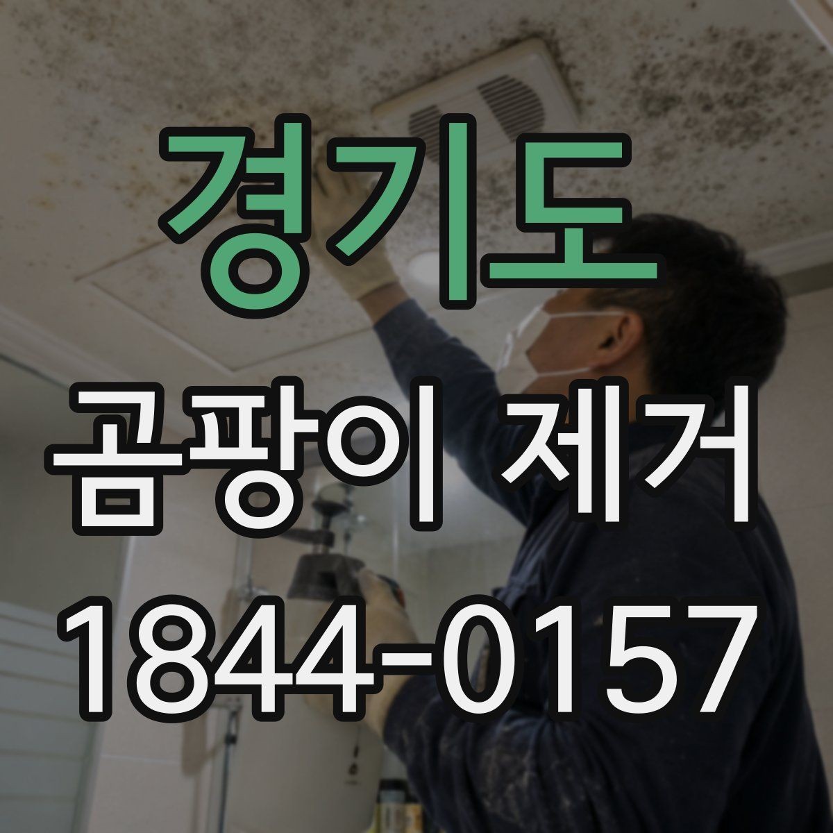 경기도 곰팡이 제거 집에서 먼저 확인할 점