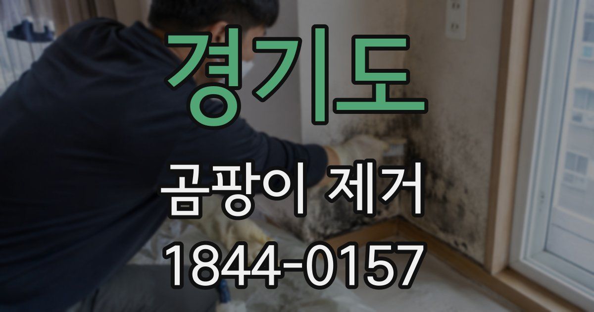 경기도 곰팡이 제거