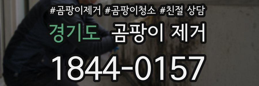 경기도 곰팡이 제거