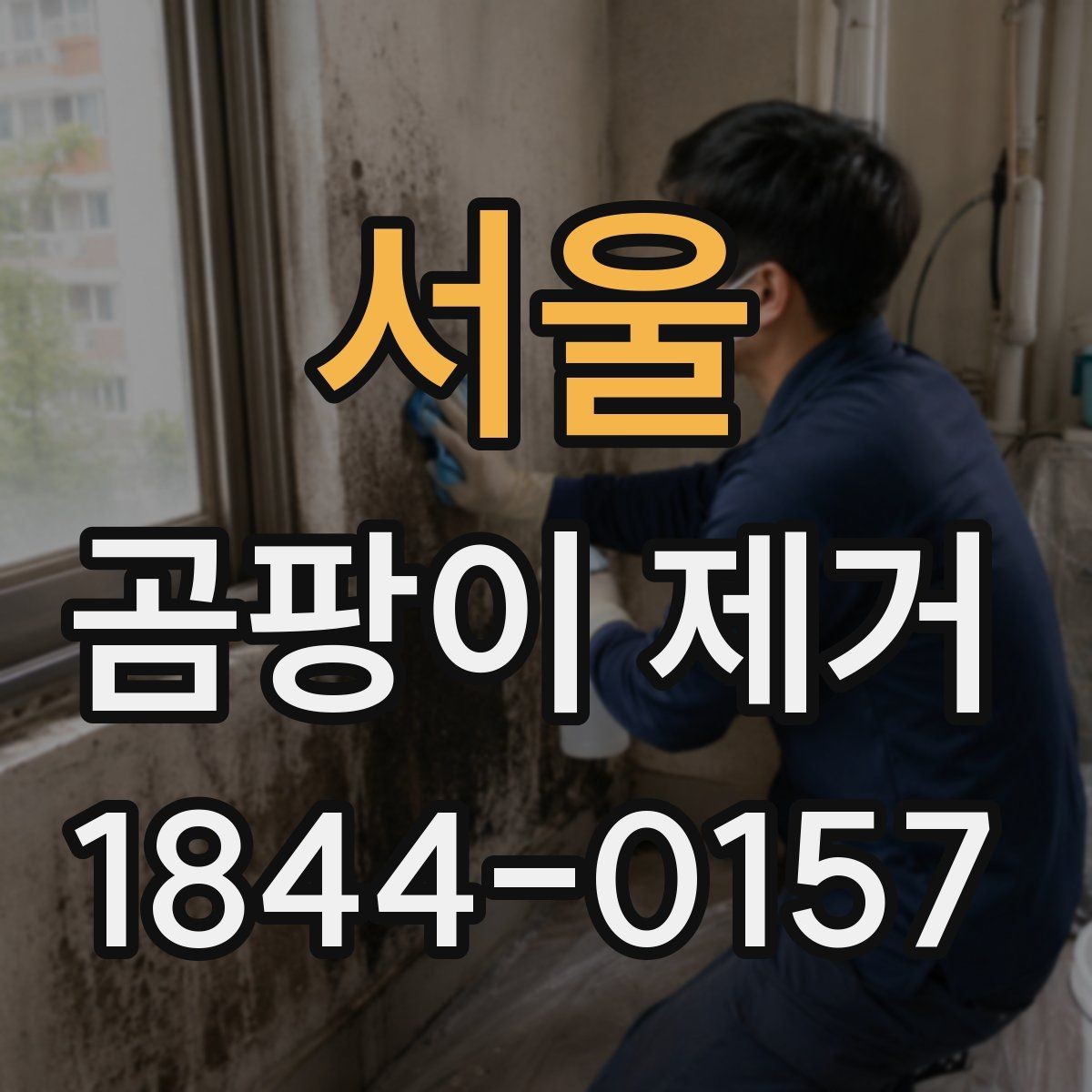 서울 곰팡이 제거 공간별 관리법을 따로 알아보기
