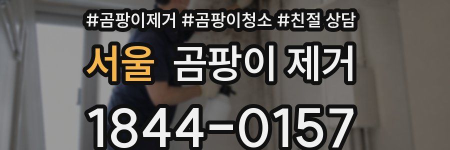서울 곰팡이 제거