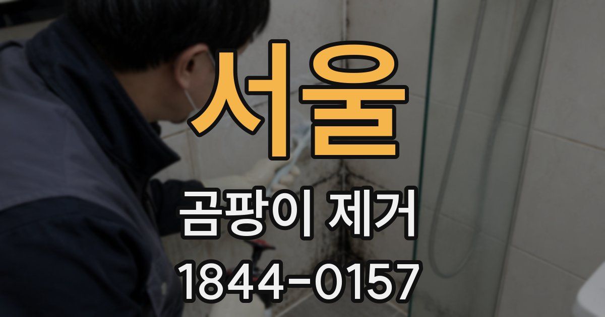 서울 곰팡이 제거