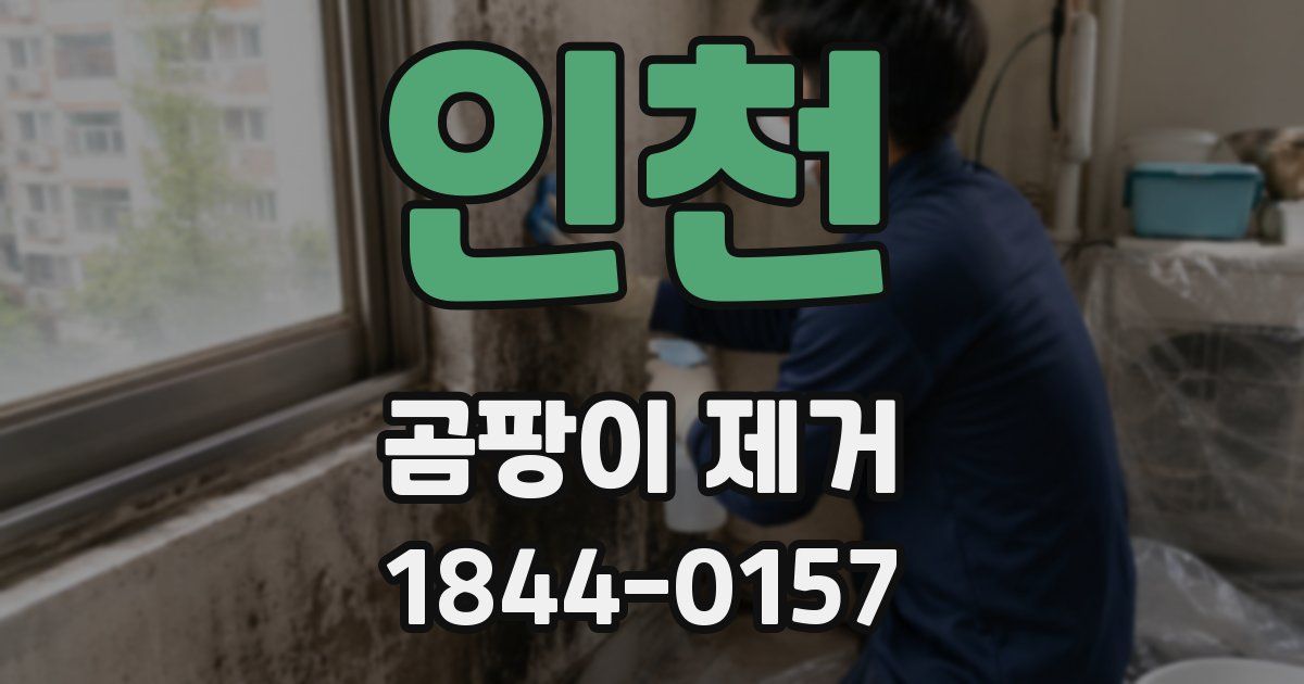 인천 곰팡이 제거