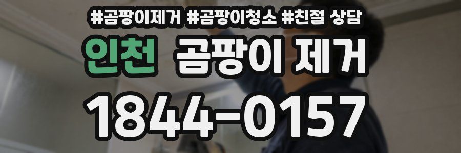 인천 곰팡이 제거
