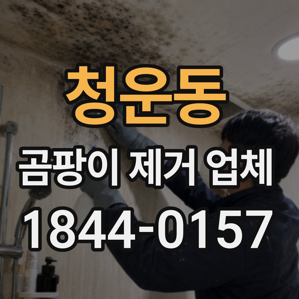 청운동 곰팡이 제거 업체