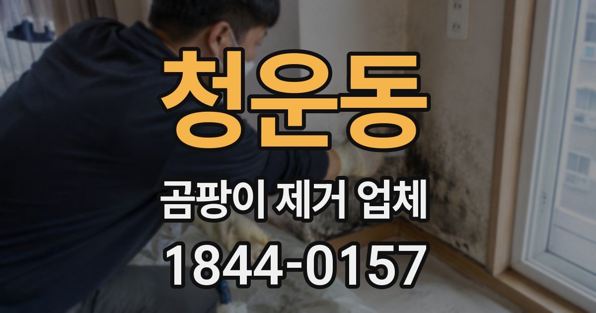 청운동 곰팡이 제거 업체