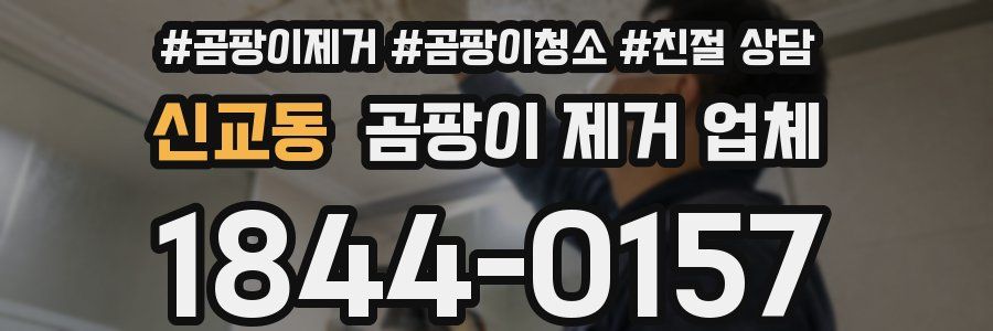 신교동 곰팡이 제거 업체