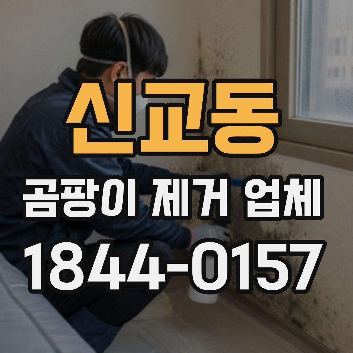 신교동 곰팡이 제거 업체