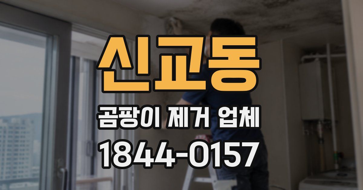 신교동 곰팡이 제거 업체