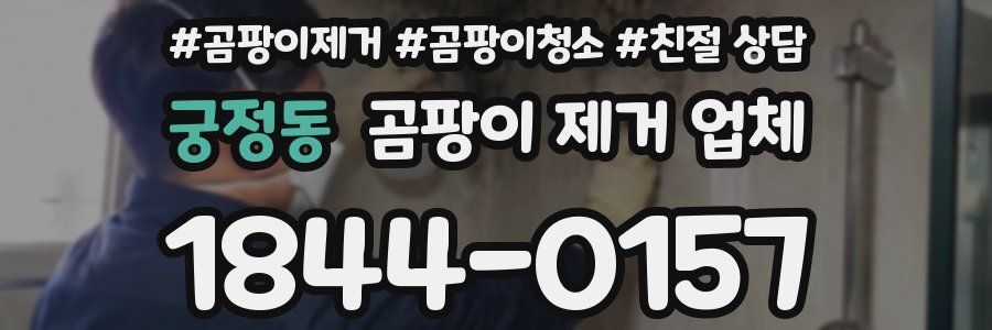 궁정동 곰팡이 제거 업체