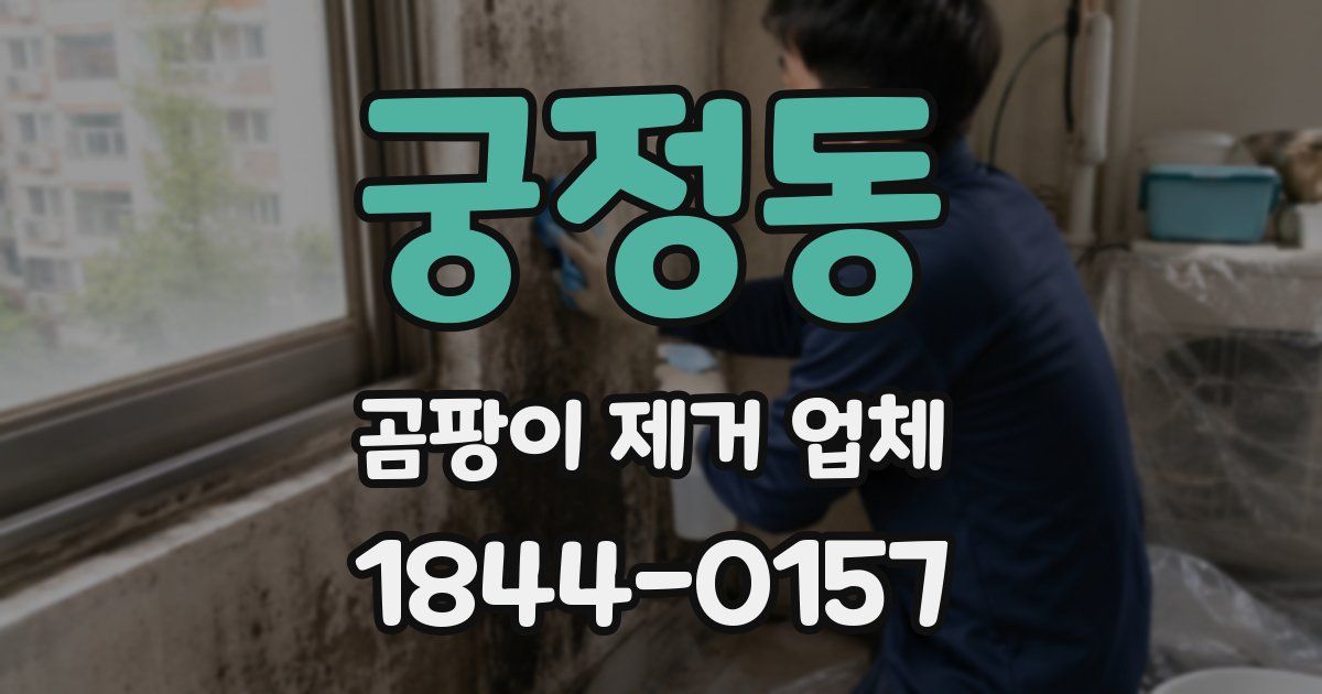 궁정동 곰팡이 제거 업체