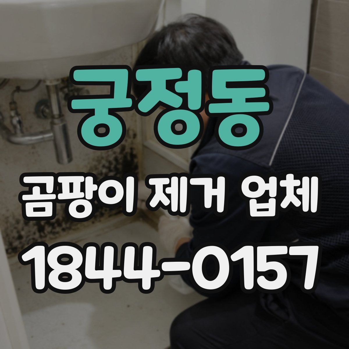 궁정동 곰팡이 제거 업체