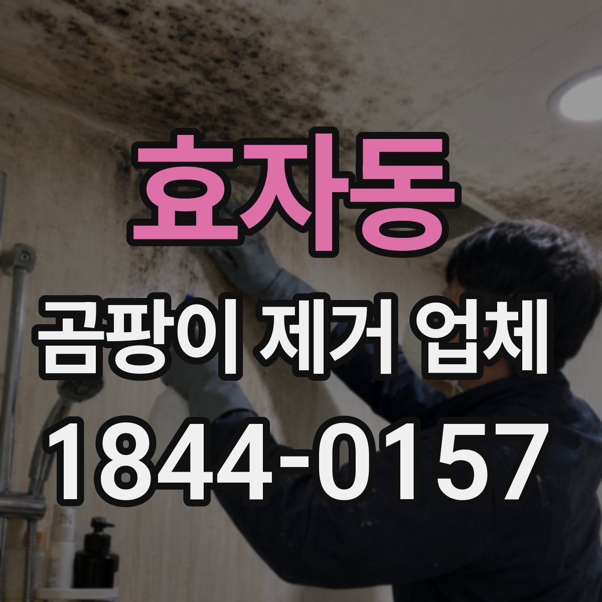 효자동 곰팡이 제거 업체
