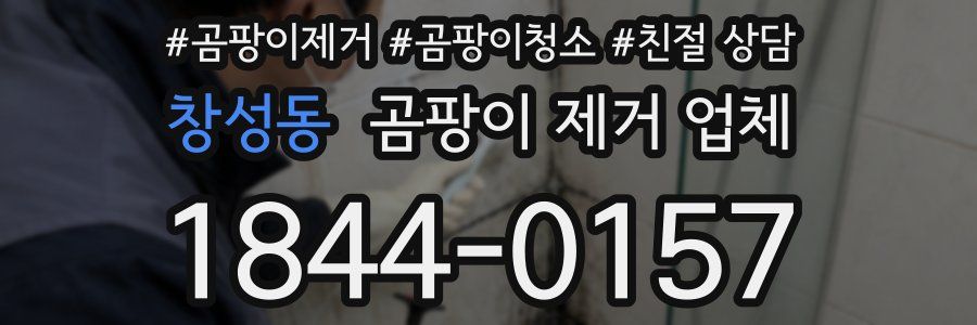 창성동 곰팡이 제거 업체