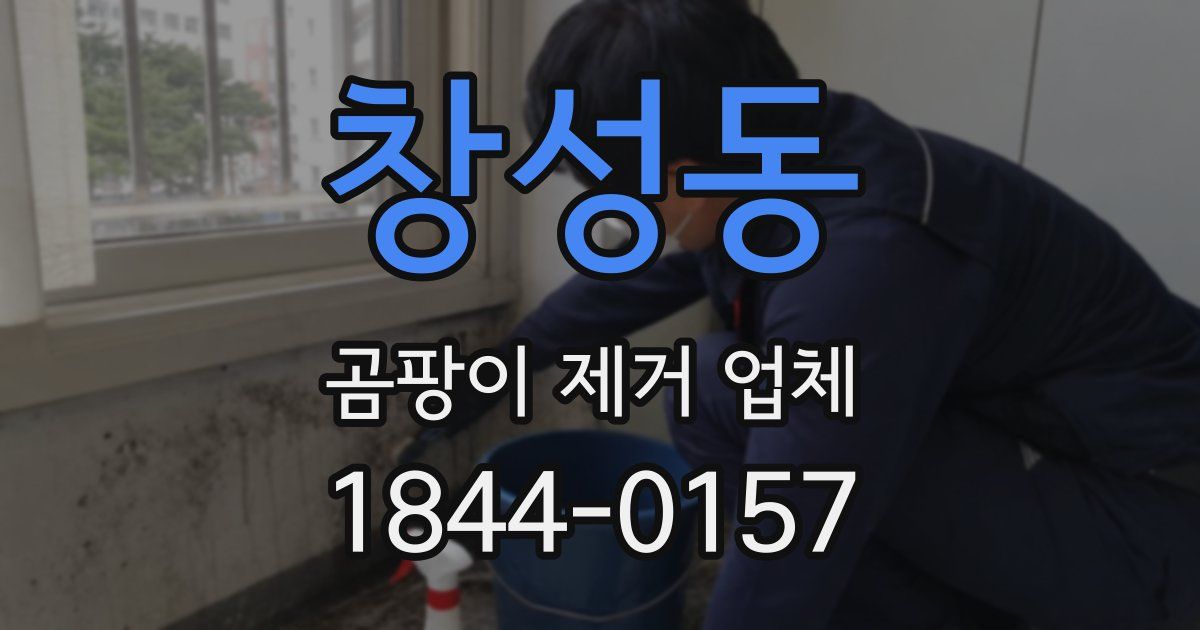 창성동 곰팡이 제거 업체