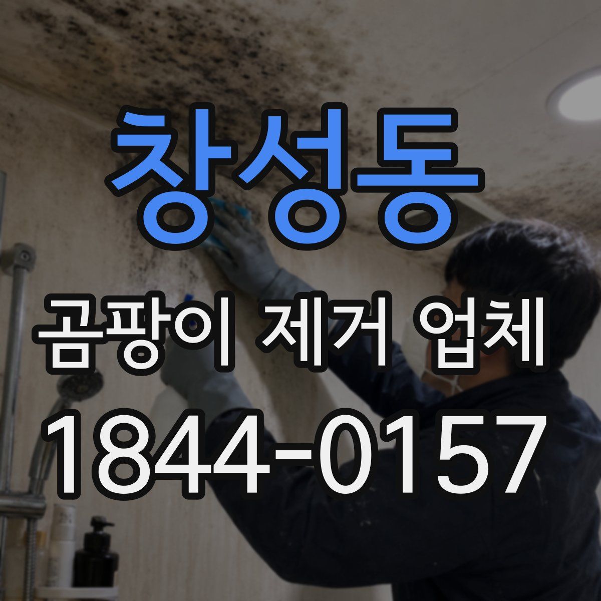 창성동 곰팡이 제거 업체