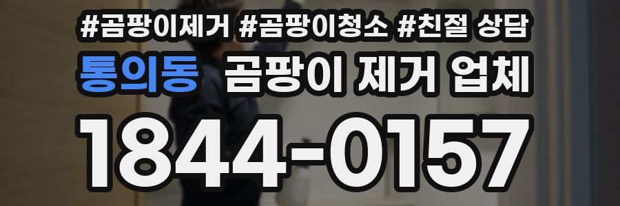 통의동 곰팡이 제거 업체