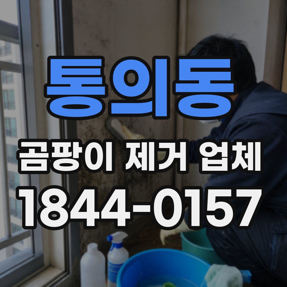 통의동 곰팡이 제거 업체