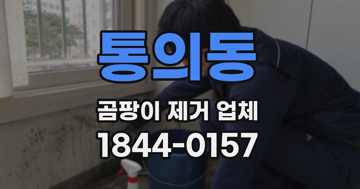 통의동 곰팡이 제거 업체